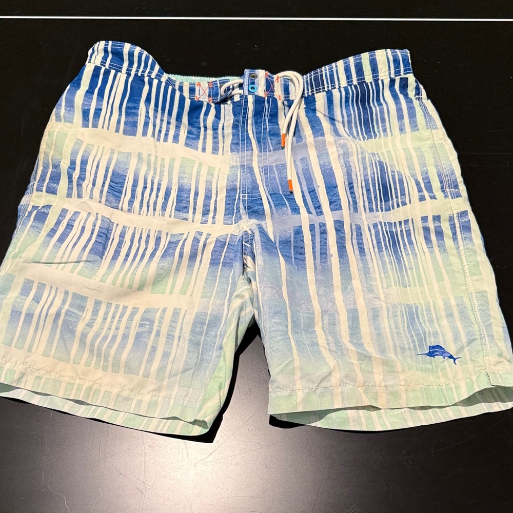 Tommy Bahama Blue and White Striped Board Shorts